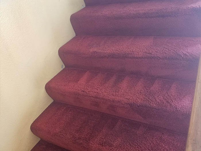 Aggressive Carpet Cleaning