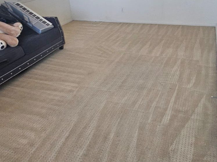 Aggressive Carpet Cleaning