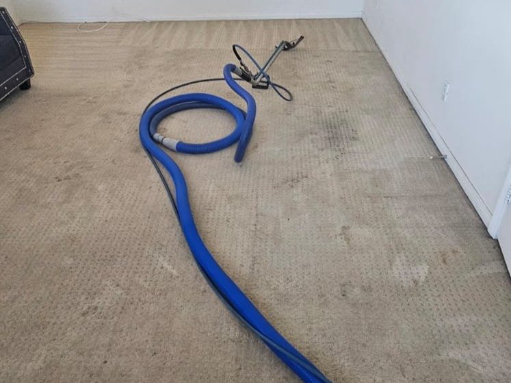 Aggressive Carpet Cleaning