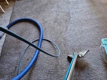 Aggressive Carpet Cleaning