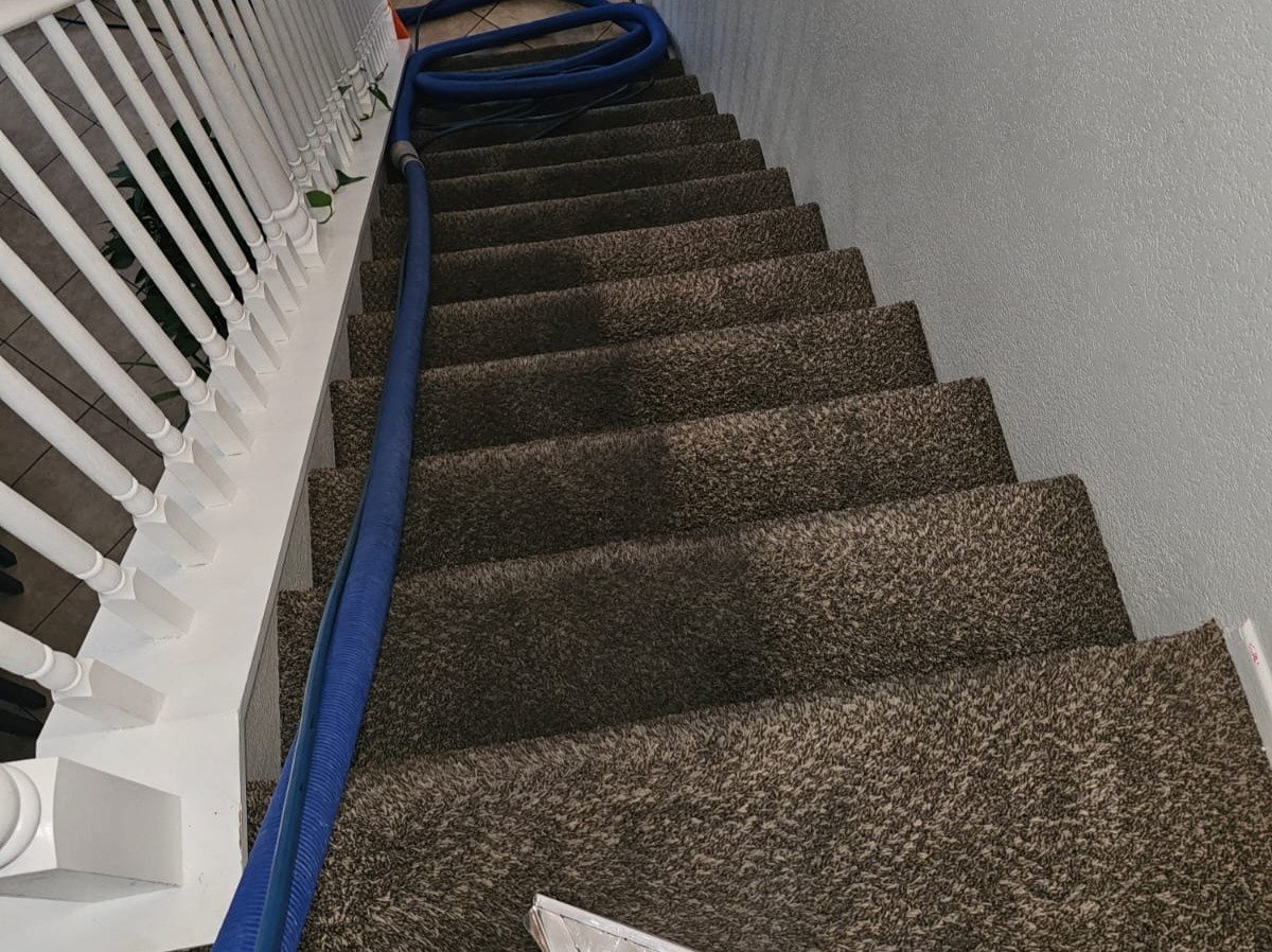 Aggressive Carpet Cleaning