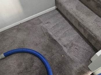 Aggressive Carpet Cleaning
