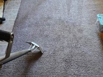 Aggressive Carpet Cleaning