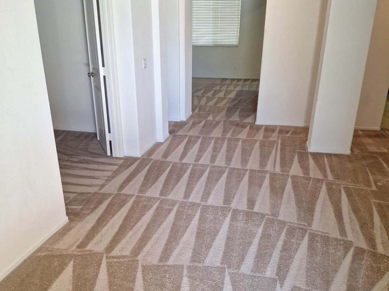 Aggressive Carpet Cleaning