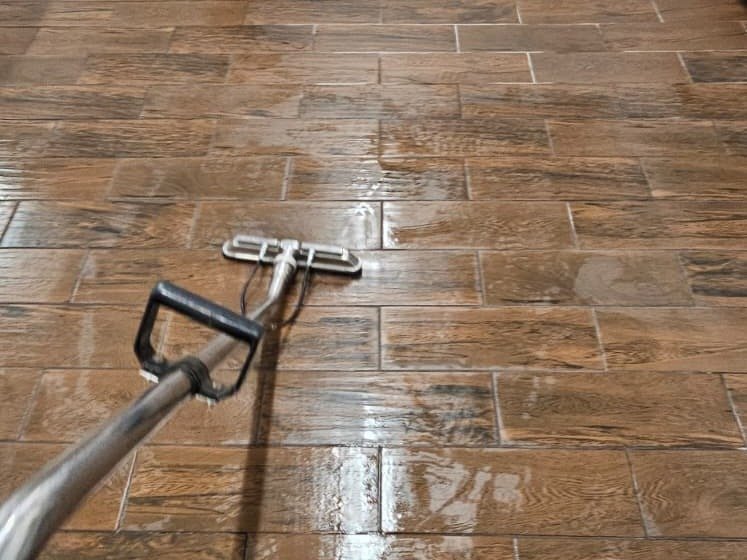 Aggressive Carpet Cleaning