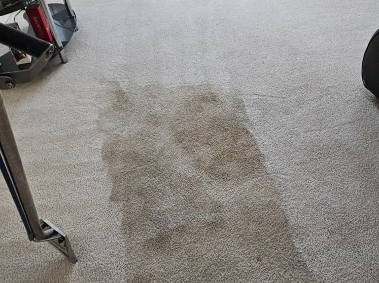 Aggressive Carpet Cleaning