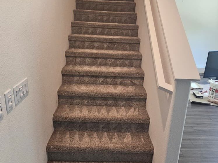 Aggressive Carpet Cleaning