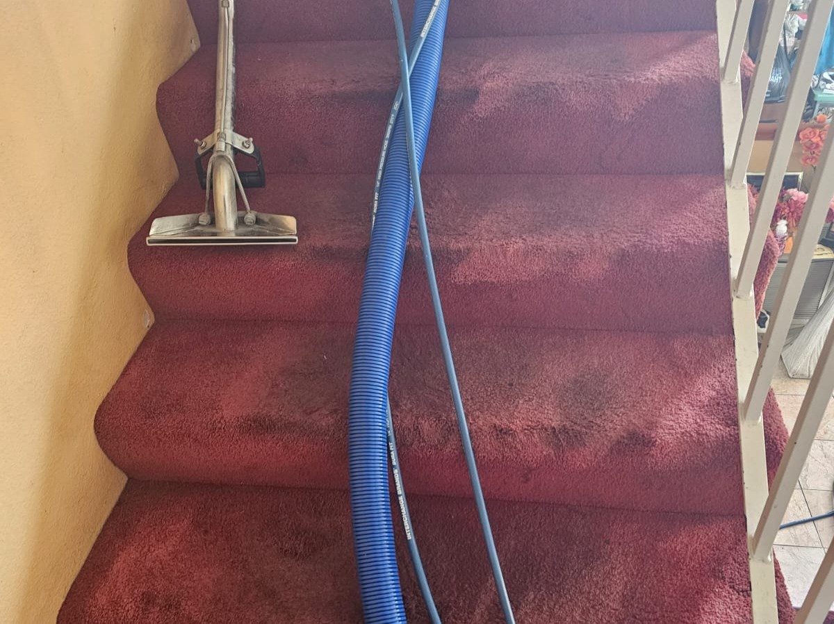 Aggressive Carpet Cleaning