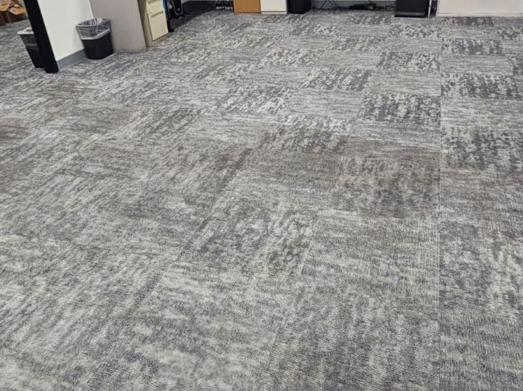 Aggressive Carpet Cleaning