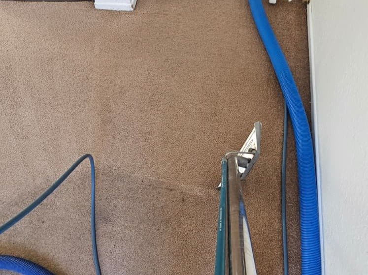 Aggressive Carpet Cleaning