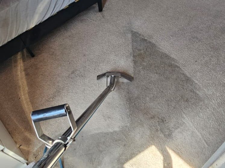 Aggressive Carpet Cleaning
