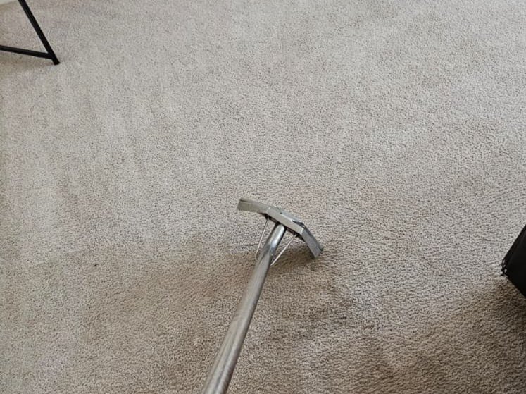 Aggressive Carpet Cleaning