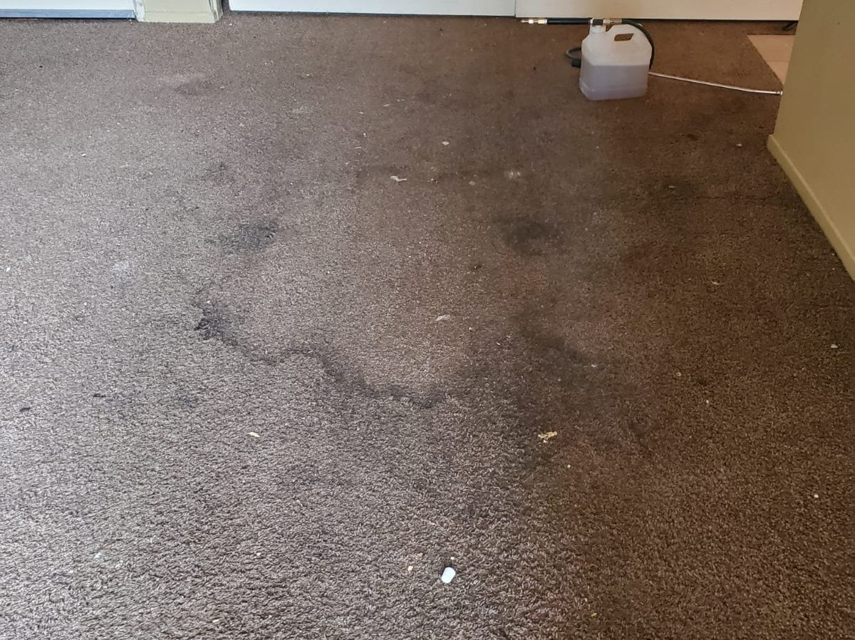 Aggressive Carpet Cleaning