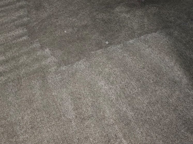 Aggressive Carpet Cleaning