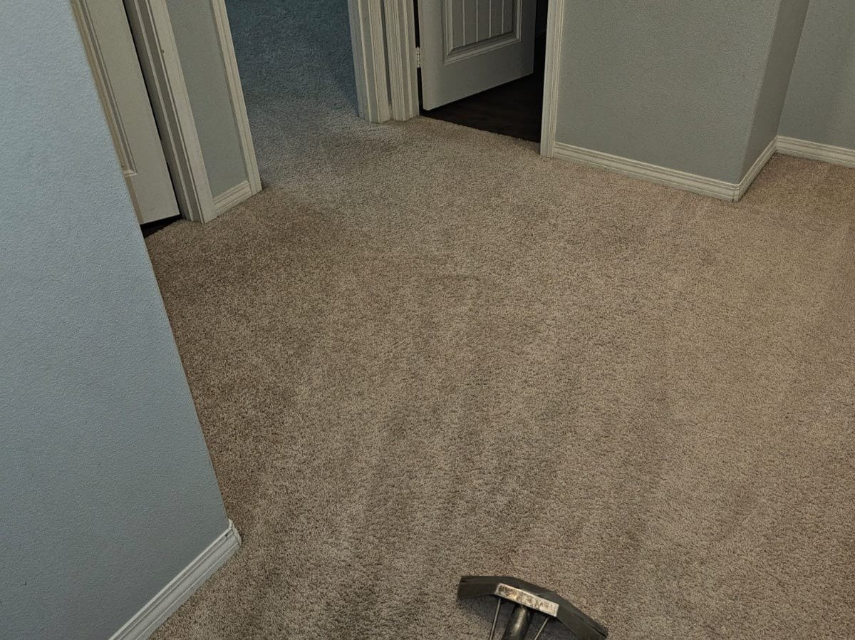 Aggressive Carpet Cleaning