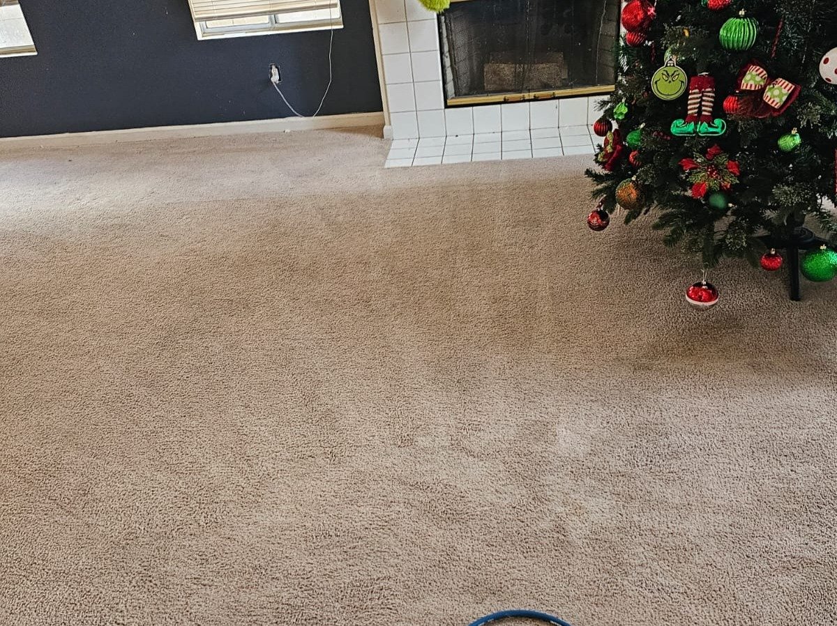 Aggressive Carpet Cleaning