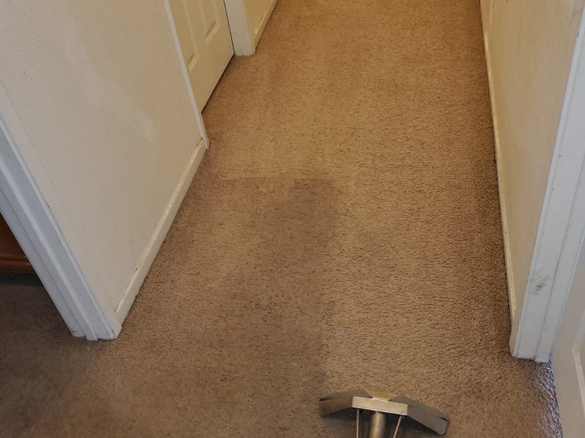Aggressive Carpet Cleaning