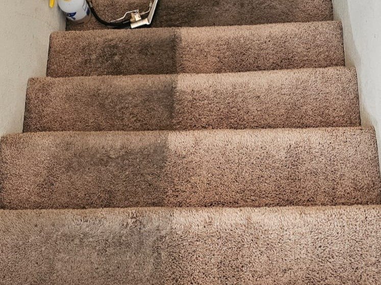 Aggressive Carpet Cleaning