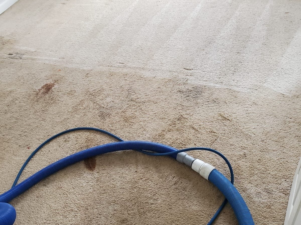Aggressive Carpet Cleaning