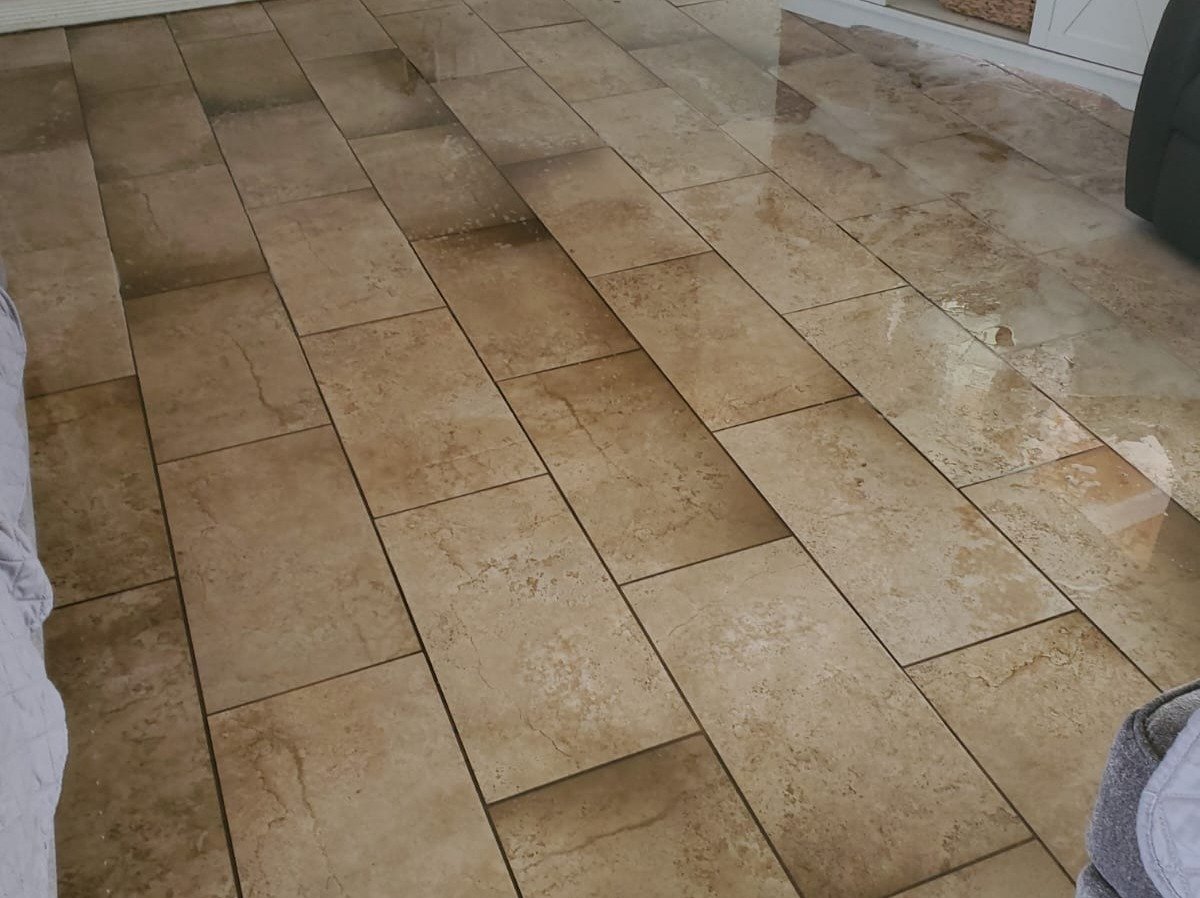 Aggressive Carpet Cleaning