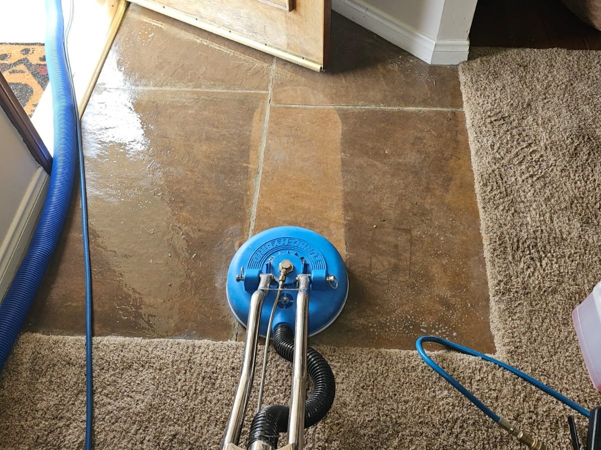 Aggressive Carpet Cleaning