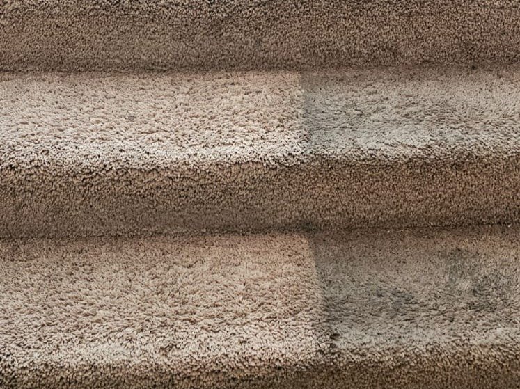 Aggressive Carpet Cleaning