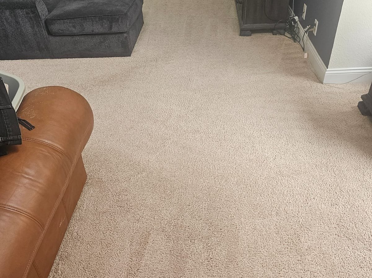 Aggressive Carpet Cleaning