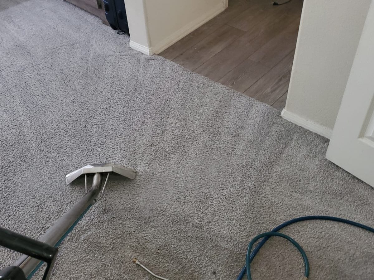Aggressive Carpet Cleaning