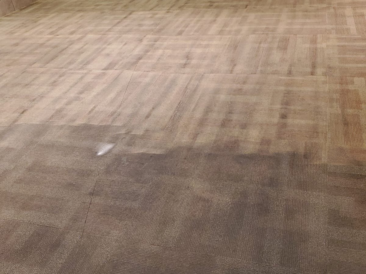 Aggressive Carpet Cleaning