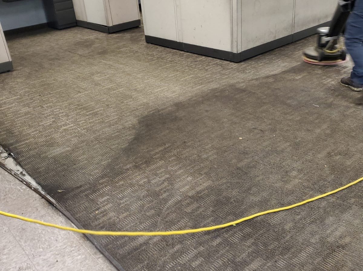 Aggressive Carpet Cleaning