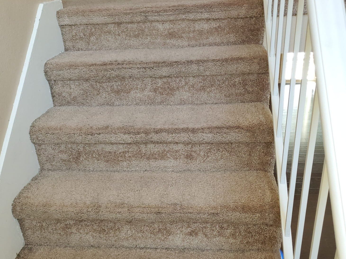 Aggressive Carpet Cleaning