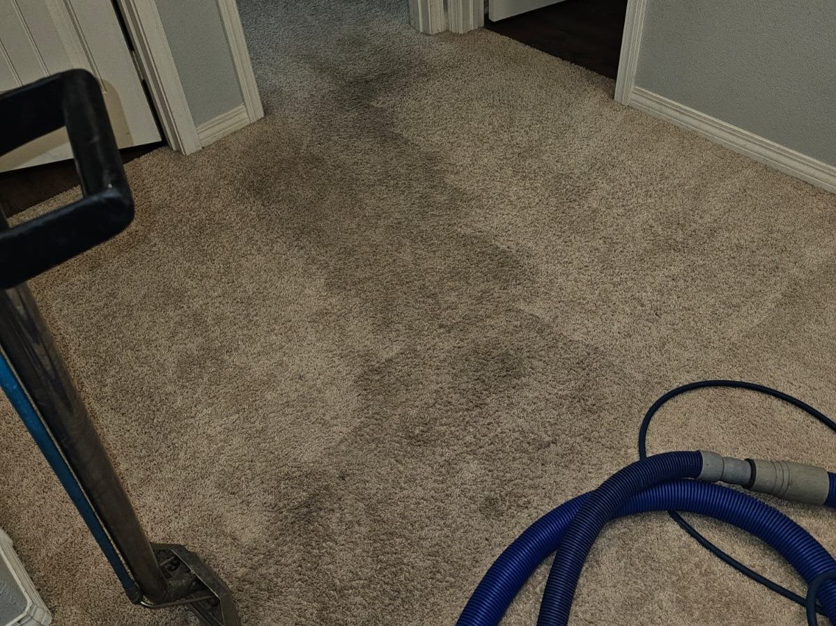 Aggressive Carpet Cleaning