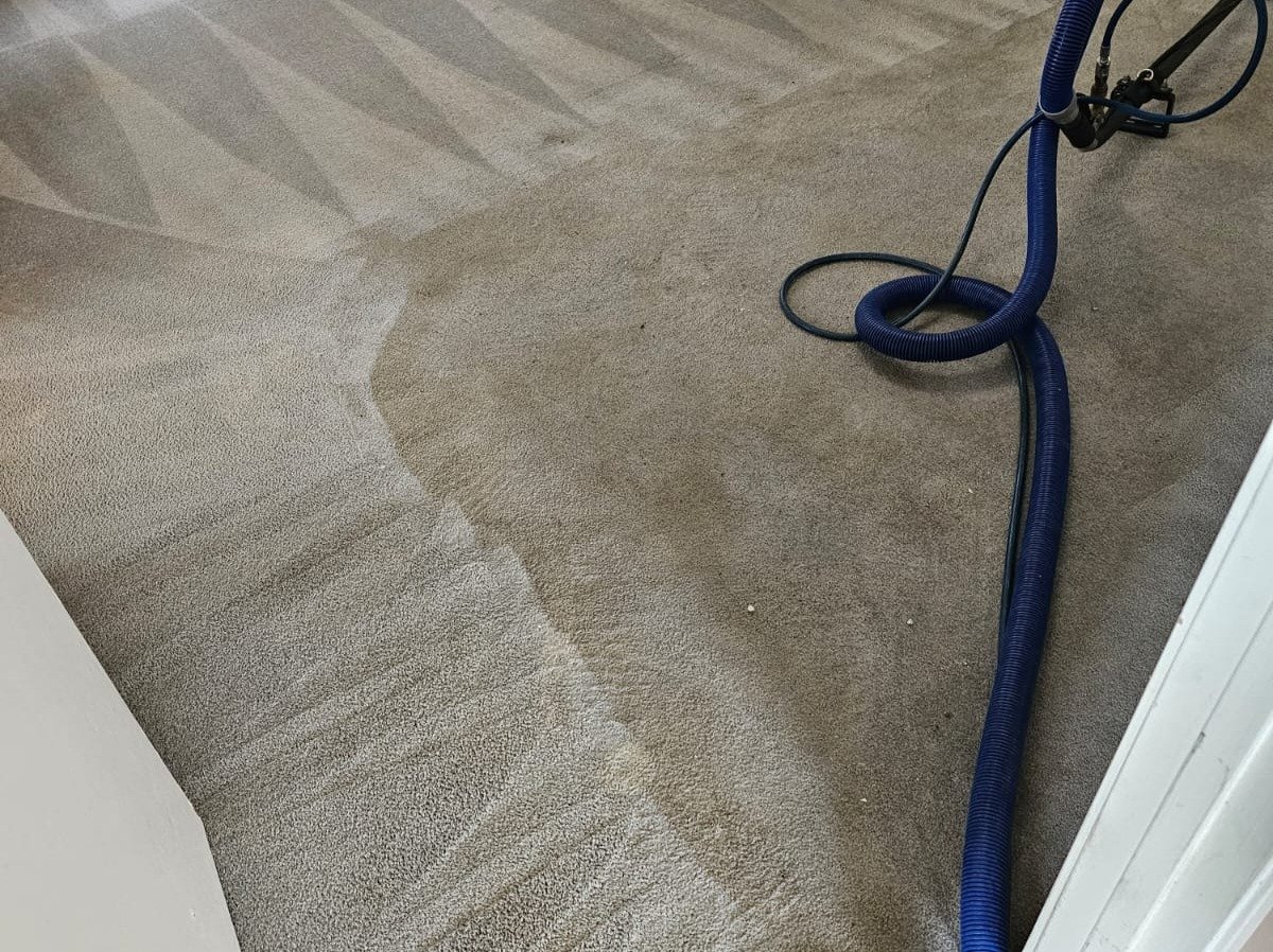 Aggressive Carpet Cleaning