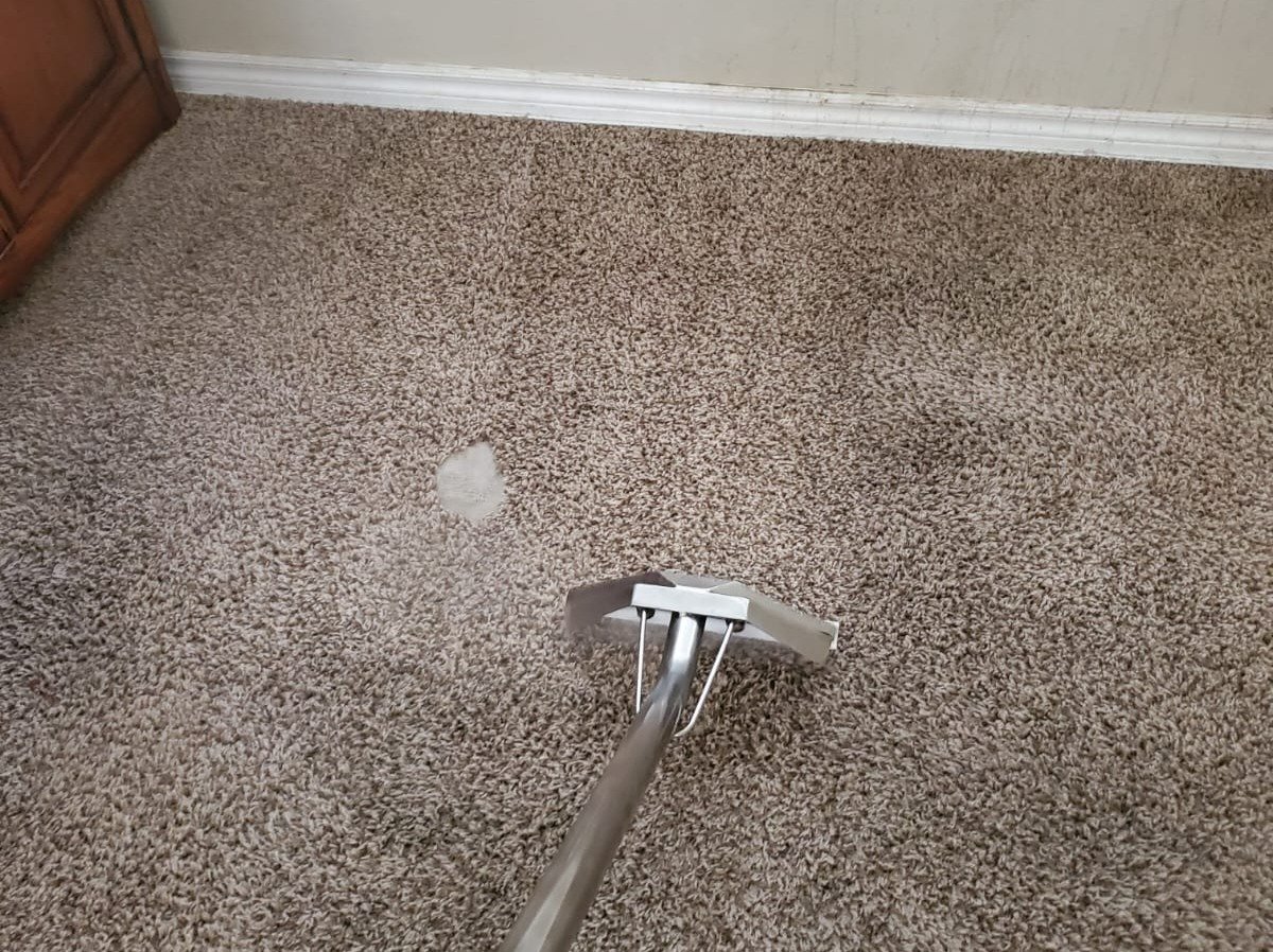 Aggressive Carpet Cleaning
